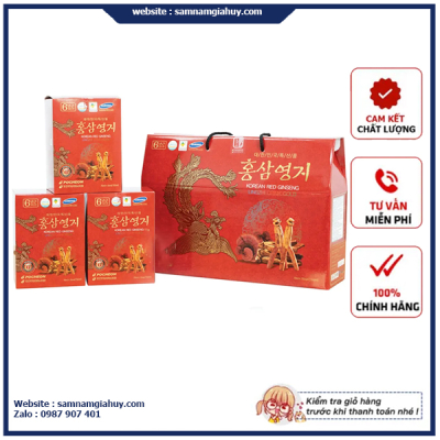 Nước Hồng Sâm Linh Chi Pocheon Hàn Quốc Hộp 70ml x 30 gói