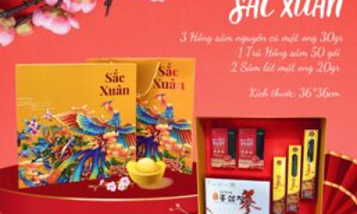 Quà tết 2026 - Xu hướng quà tặng sang trọng từ sản phẩm sâm nấm cao cấp