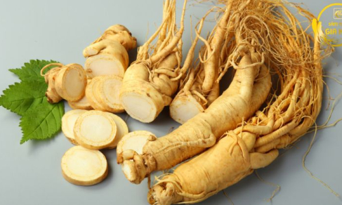 Bảng giá sâm tươi Hàn Quốc chính hãng – Báo giá chi tiết