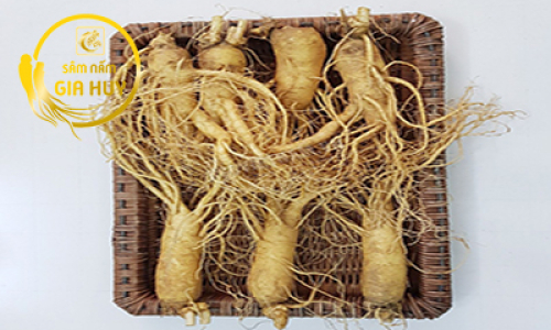 Mua nhân sâm Hàn Quốc ở đâu uy tín?