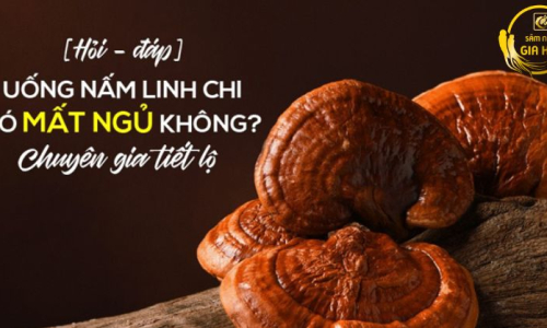 Tác dụng của nấm linh chi Hàn Quốc đã được khoa học chứng minh