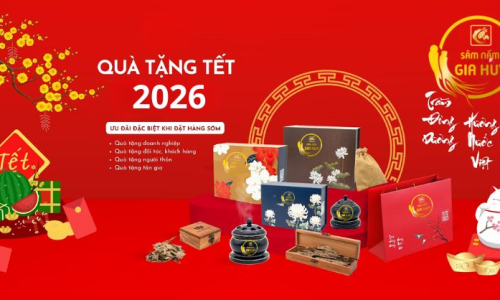 Quà Biếu Tết 2026 Cao Cấp, Sang Trọng Và Ý Nghĩa Nhất | Sâm Nấm Gia Huy