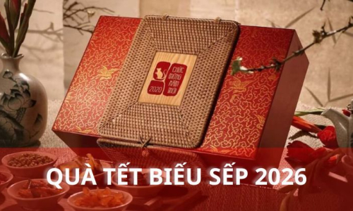 Mẫu Quà Tết Biếu Sếp Sang Trọng Và Ý Nghĩa Nhất 2026 | Sâm Nấm Gia Huy