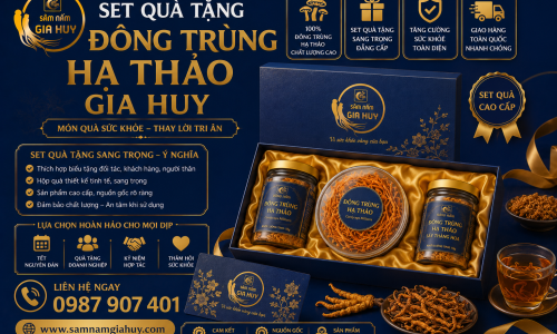 Set Quà Tặng Đông Trùng Hạ Thảo Gia Huy Cao Cấp - Xu Hướng Quà Tết Sức Khỏe Thượng Hạng