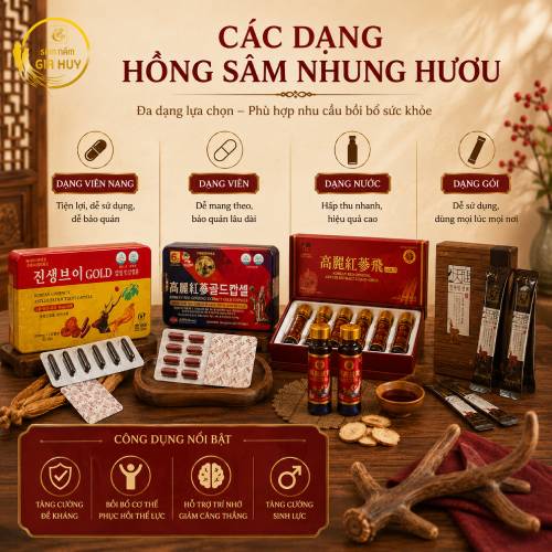 Các dạng hồng sâm nhung hươu dạng nước cao và viên