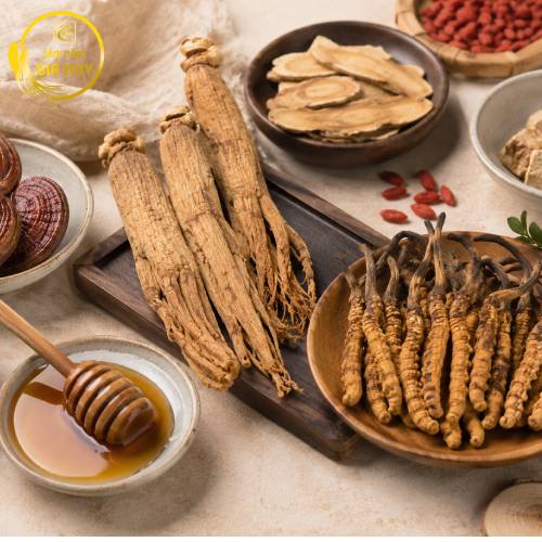 Cách lựa chọn hồng sâm đông trùng hạ thảo phù hợp nhu cầu