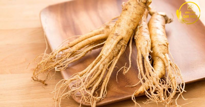 Các loại sâm củ tươi phổ biến hiện nay