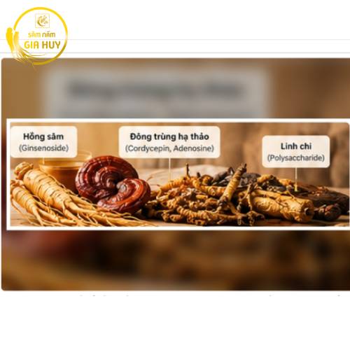 Thành phần hồng sâm và đông trùng hạ thảo trong sản phẩm Hàn Quốc