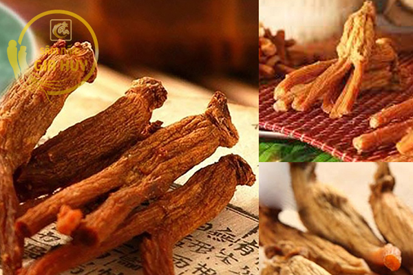 Câu hỏi thường gặp khi chọn mua và sử dụng hồng sâm khô Hàn Quốc