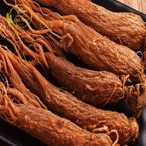 Hồng sâm sau quá trình hấp và sấy khô