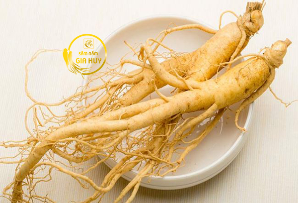 củ nhân sâm hàn quốc 6 năm tuổi