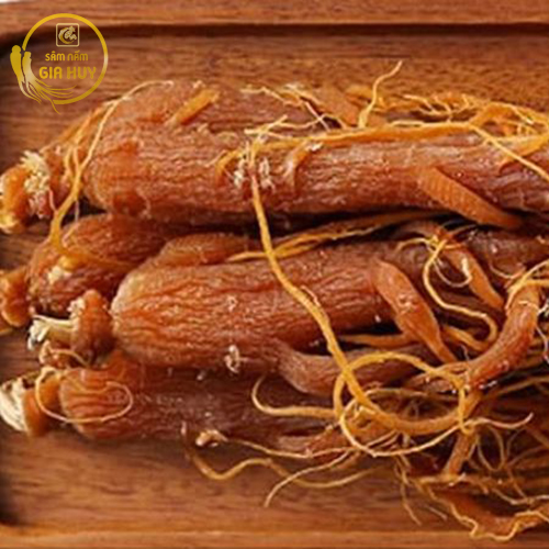Trà hồng sâm pha uống từ hồng sâm và chiết xuất hồng sâm