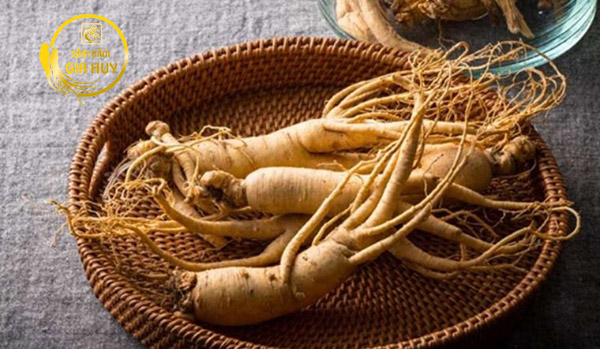 Sâm Nấm Gia Huy địa chỉ uy tín